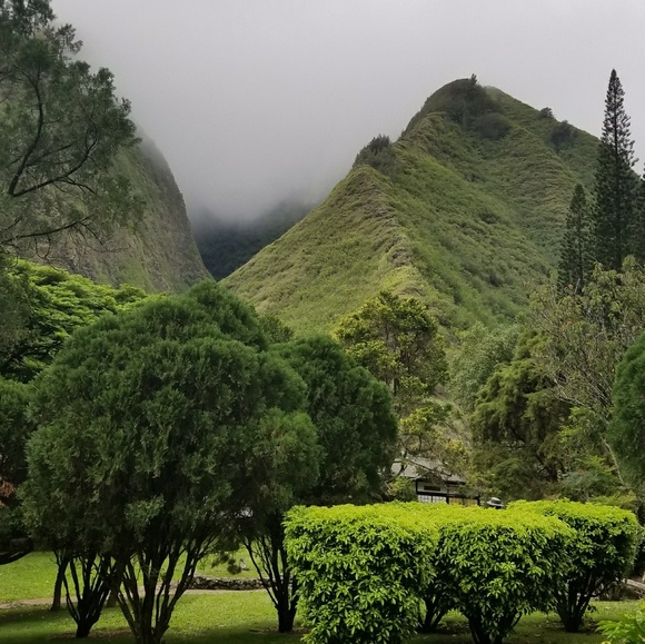 Meet your Posher, Melissa - Picture 2 of 4